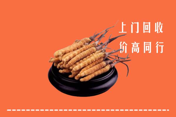 高价求购：赣州回收散虫草