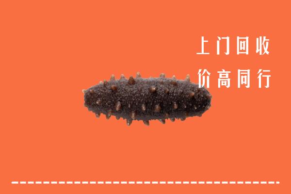 高价求购：赣州回收海参