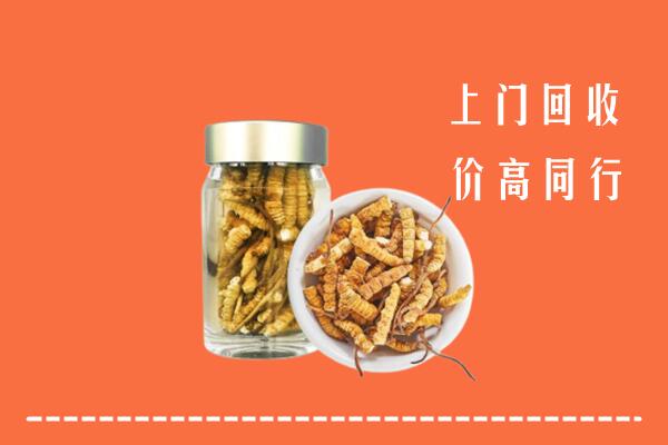 赣州回收冬虫夏草